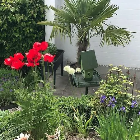 Privatwohnung Mit Terrasse Zum Relaxen Lennestadt Eksteriør billede