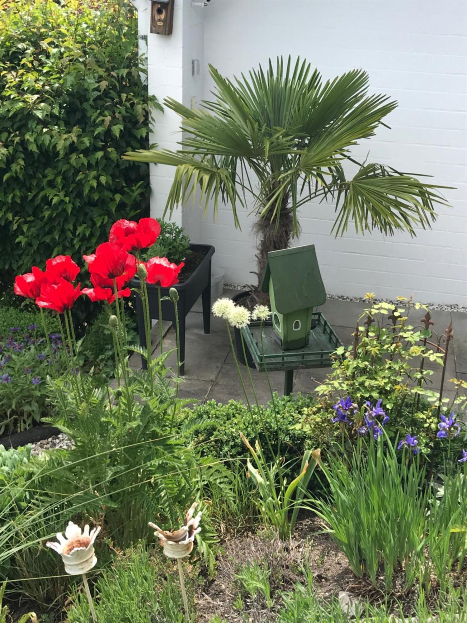 Privatwohnung Mit Terrasse Zum Relaxen