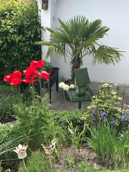 Privatwohnung Mit Terrasse Zum Relaxen Apartment